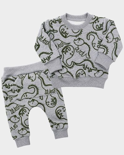 Conjunto Longo de Moletom Bebê 2 Peças Estampa Dinossauro